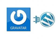 gravatar-wp