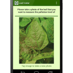 leafscreen